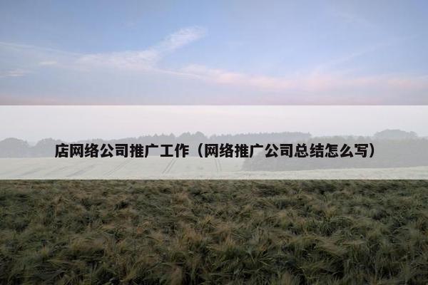 店网络公司推广工作（网络推广公司总结怎么写）