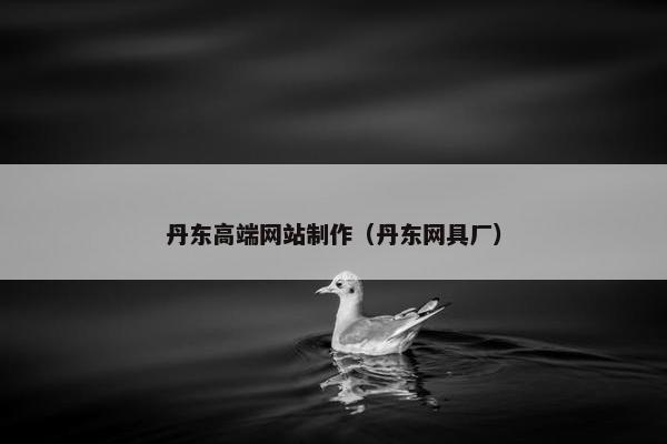 丹东高端网站制作（丹东网具厂）