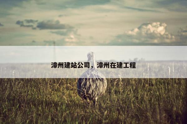 漳州建站公司，漳州在建工程