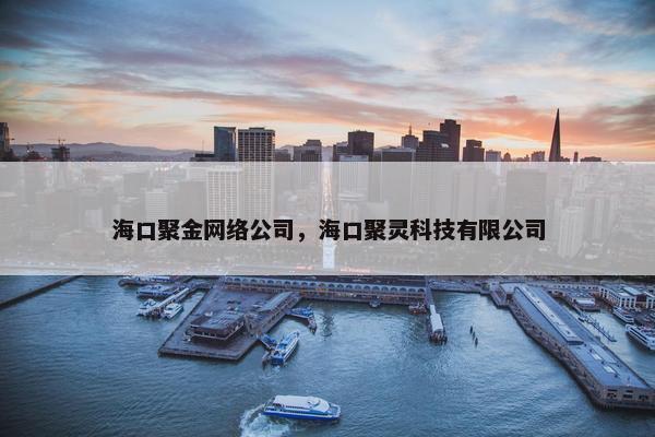 海口聚金网络公司，海口聚灵科技有限公司