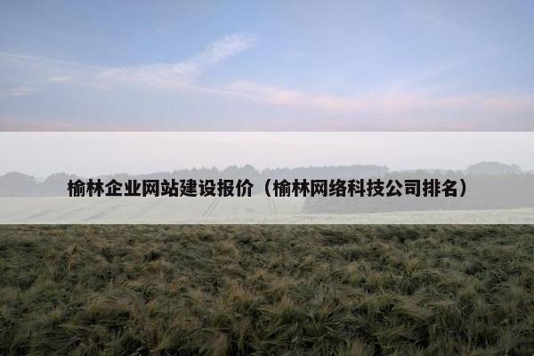 榆林企业网站建设报价（榆林网络科技公司排名）