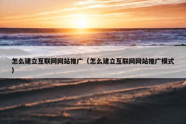 怎么建立互联网网站推广（怎么建立互联网网站推广模式）