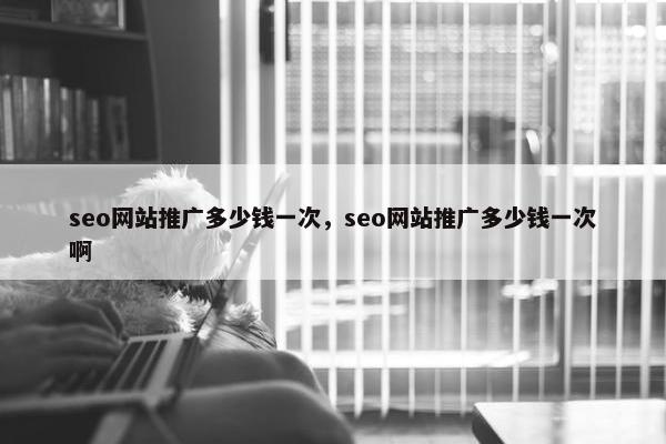 seo网站推广多少钱一次，seo网站推广多少钱一次啊