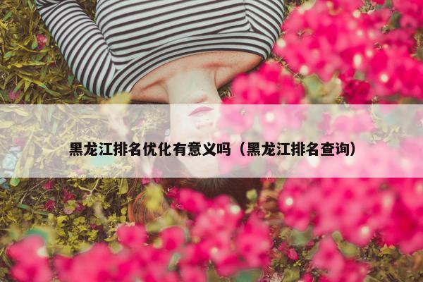 黑龙江排名优化有意义吗（黑龙江排名查询）