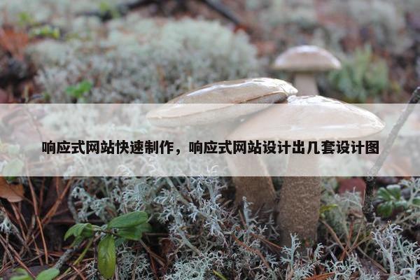 响应式网站快速制作，响应式网站设计出几套设计图
