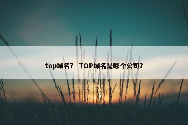 top域名？ TOP域名是哪个公司？