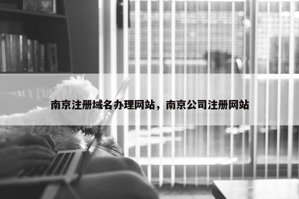 南京注册域名办理网站，南京公司注册网站