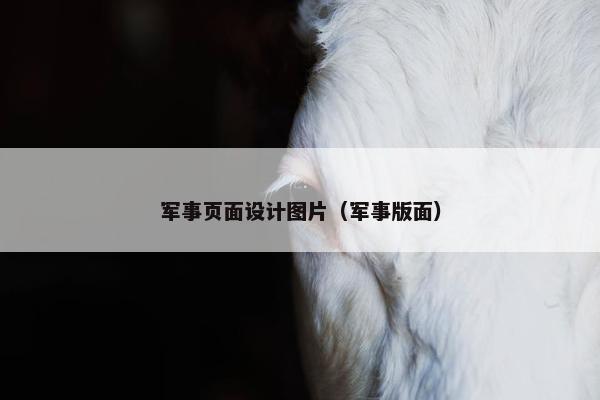 军事页面设计图片（军事版面）