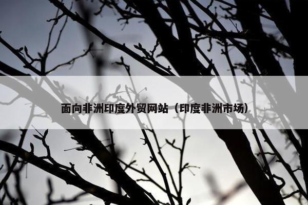 面向非洲印度外贸网站（印度非洲市场）