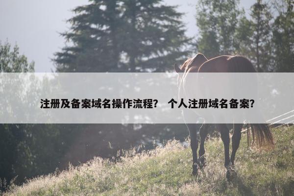 注册及备案域名操作流程？ 个人注册域名备案？