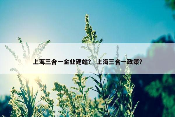 上海三合一企业建站？ 上海三合一政策？