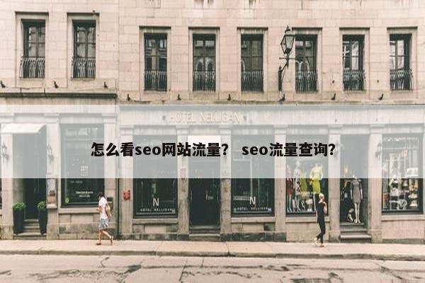 怎么看seo网站流量？ seo流量查询？
