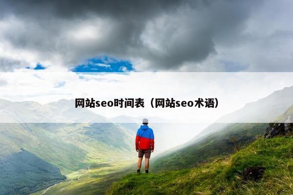 网站seo时间表（网站seo术语）