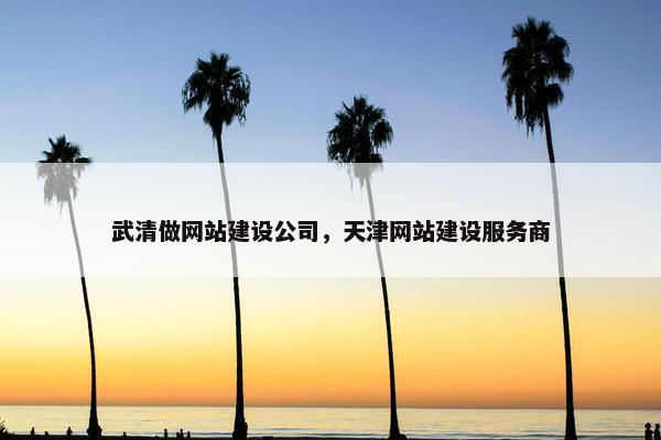 武清做网站建设公司，天津网站建设服务商