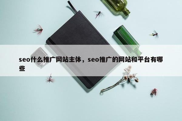seo什么推广网站主体，seo推广的网站和平台有哪些