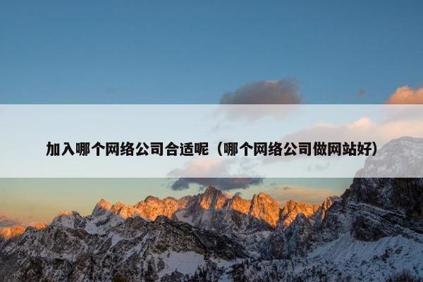 加入哪个网络公司合适呢（哪个网络公司做网站好）