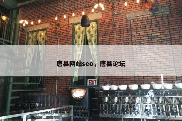 唐县网站seo，唐县论坛