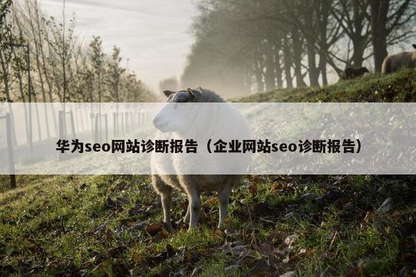华为seo网站诊断报告（企业网站seo诊断报告）