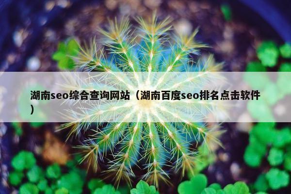 湖南seo综合查询网站（湖南百度seo排名点击软件）