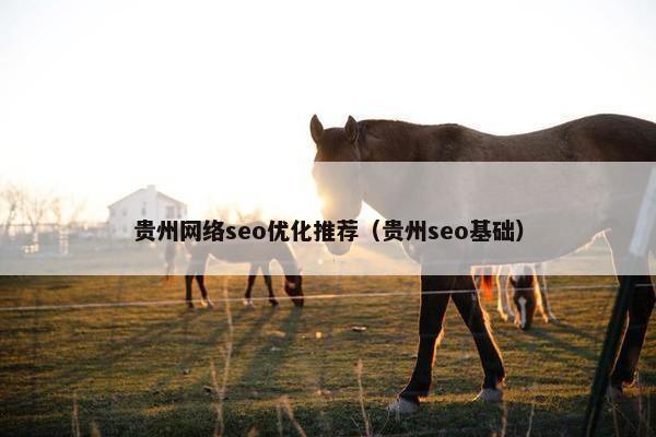 贵州网络seo优化推荐（贵州seo基础）