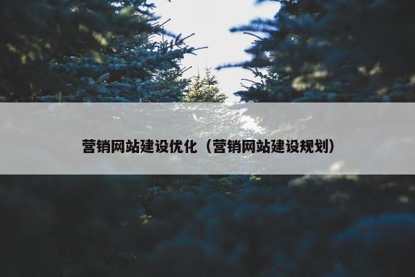 营销网站建设优化（营销网站建设规划）