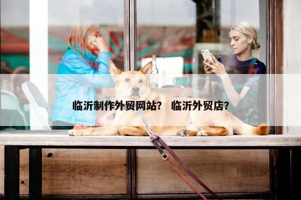 临沂制作外贸网站？ 临沂外贸店？