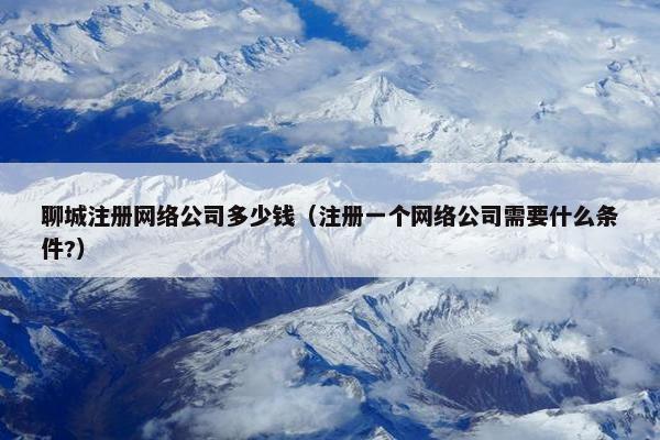 聊城注册网络公司多少钱（注册一个网络公司需要什么条件?）