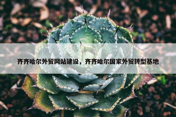 齐齐哈尔外贸网站建设，齐齐哈尔国家外贸转型基地