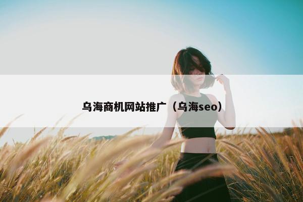 乌海商机网站推广（乌海seo）