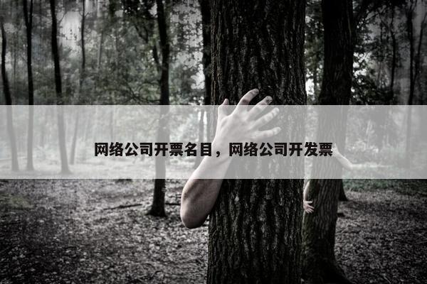 网络公司开票名目，网络公司开发票