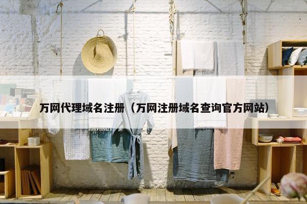 万网代理域名注册（万网注册域名查询官方网站）