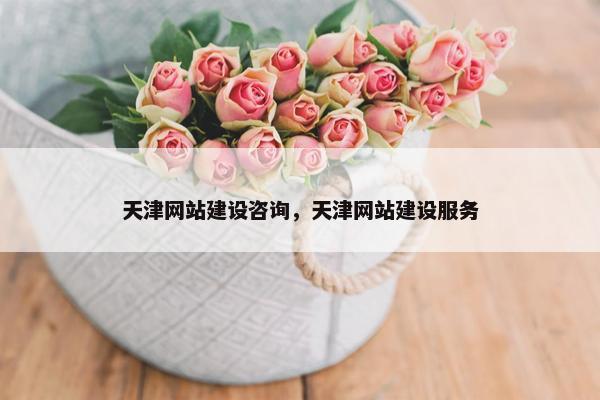 天津网站建设咨询，天津网站建设服务