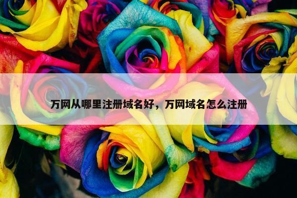 万网从哪里注册域名好，万网域名怎么注册