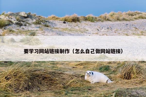要学习网站链接制作（怎么自己做网站链接）