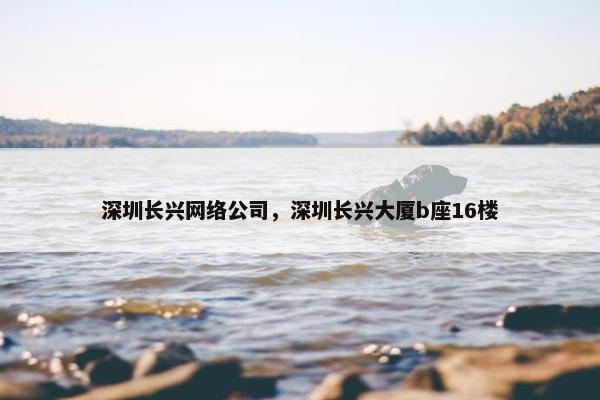 深圳长兴网络公司，深圳长兴大厦b座16楼