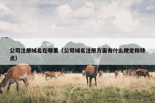 公司注册域名在哪里（公司域名注册方面有什么规定和特点）