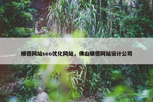 顺德网站seo优化网站，佛山顺德网站设计公司