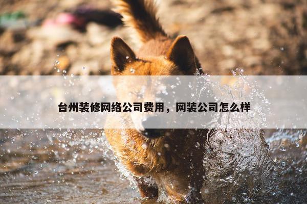 台州装修网络公司费用，网装公司怎么样