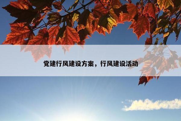党建行风建设方案，行风建设活动
