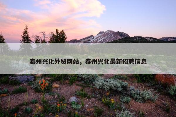 泰州兴化外贸网站，泰州兴化最新招聘信息