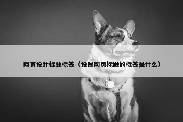 网页设计标题标签（设置网页标题的标签是什么）
