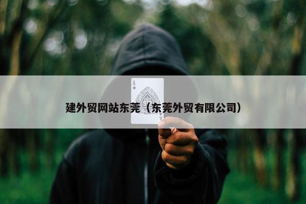建外贸网站东莞（东莞外贸有限公司）