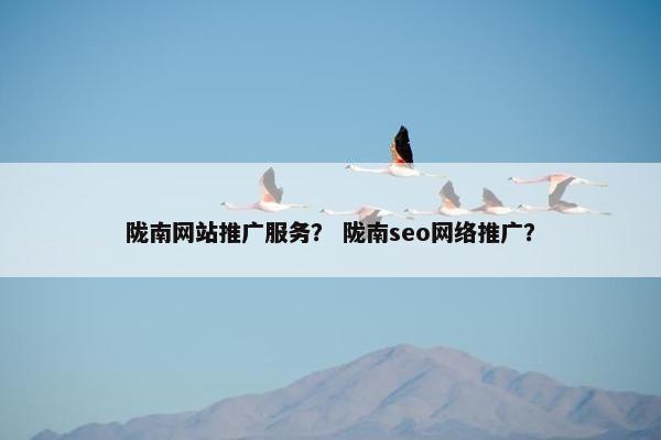 陇南网站推广服务？ 陇南seo网络推广？
