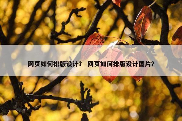 网页如何排版设计？ 网页如何排版设计图片？