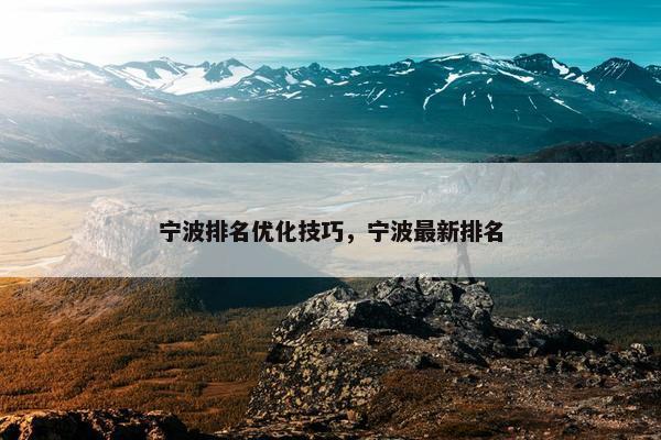 宁波排名优化技巧，宁波最新排名