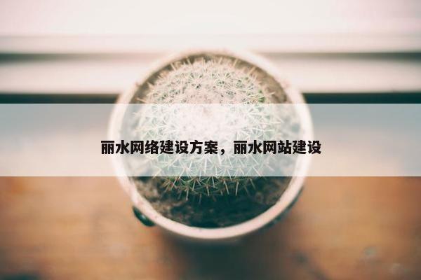 丽水网络建设方案，丽水网站建设