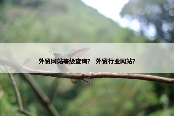 外贸网站等级查询？ 外贸行业网站？
