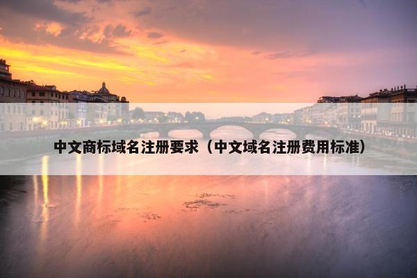 中文商标域名注册要求（中文域名注册费用标准）