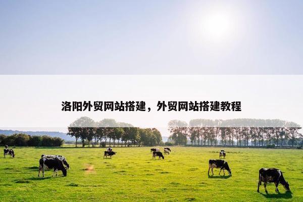 洛阳外贸网站搭建，外贸网站搭建教程