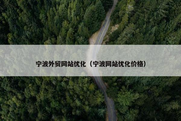 宁波外贸网站优化（宁波网站优化价格）